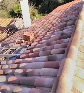 Fuite toiture à Chepniers