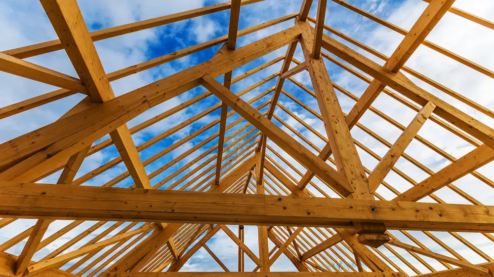 Professionnel de la charpente à Chepnierwebp