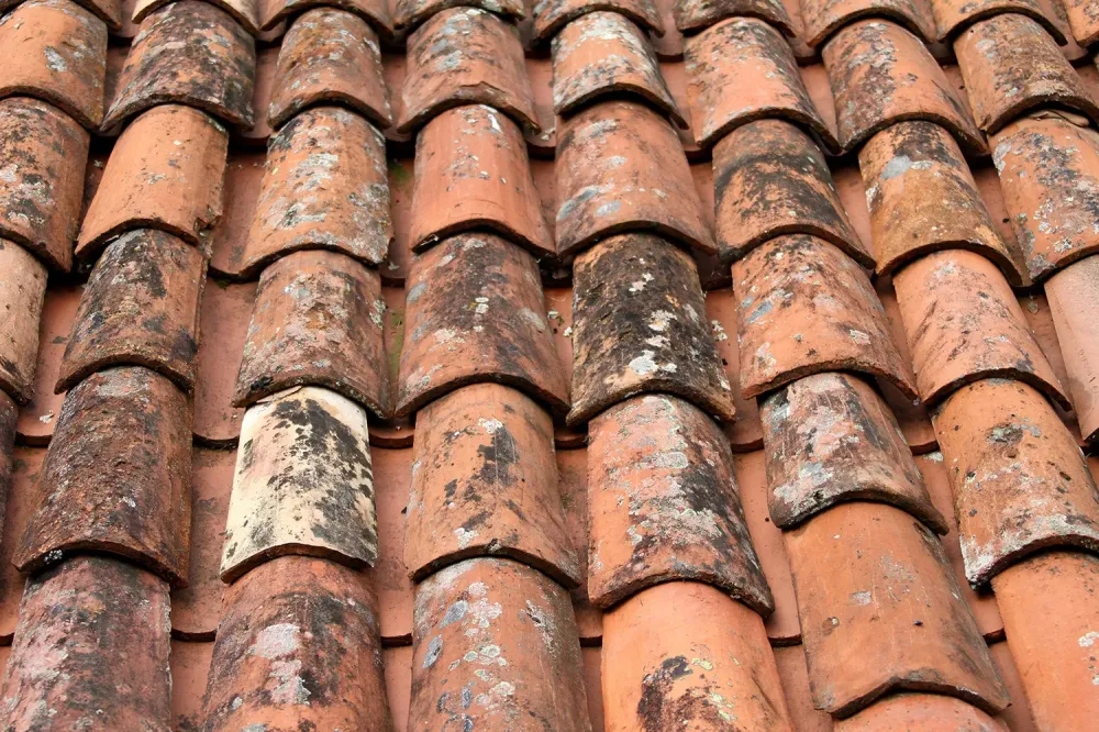 Entretien de toiture à Chepniers